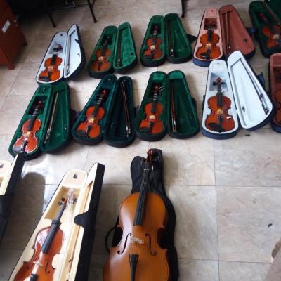 Violines y Cuerdas Frotadas de la E.M Amadeus
